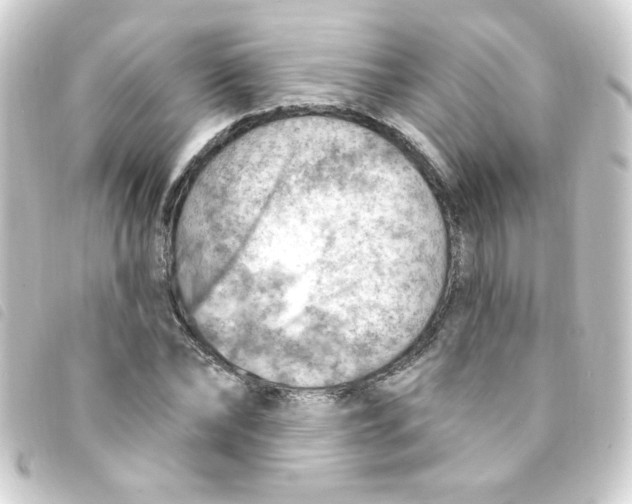 X0000093260878200710241331