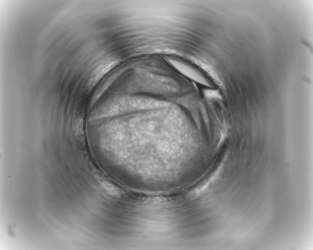 X0000093260881200710241331