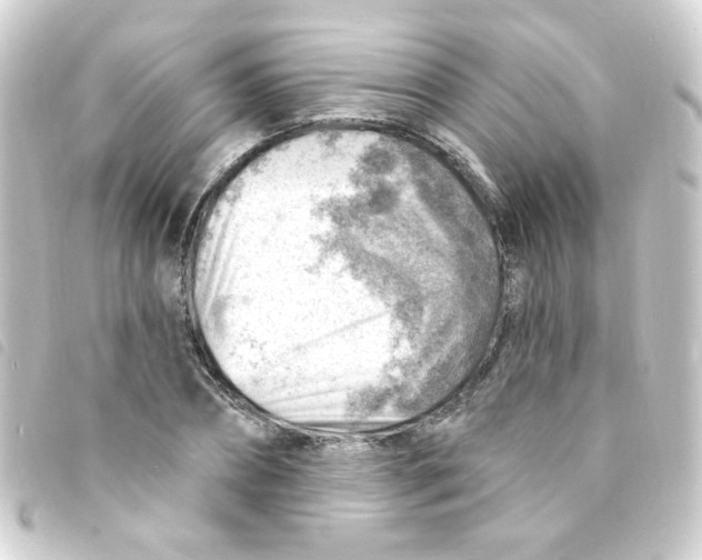 X0000093260882200710241331