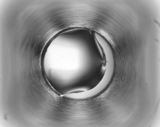 X0000093260884200710241331