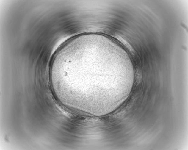 X0000093260886200710241331