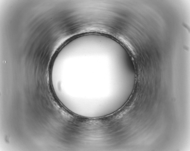 X0000093260888200710241331
