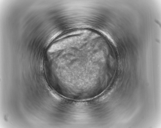 X0000093260889200710241331