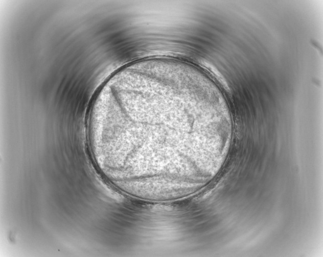 X0000093260890200710241331
