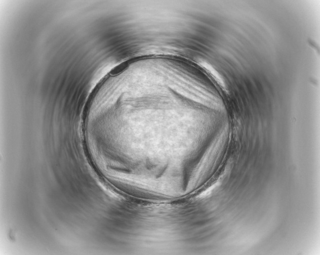 X0000093260893200710241331
