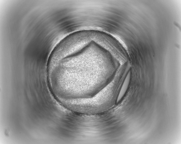 X0000093260895200710241331
