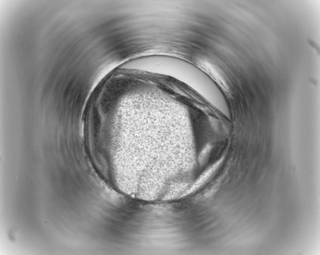 X0000093260900200710241331