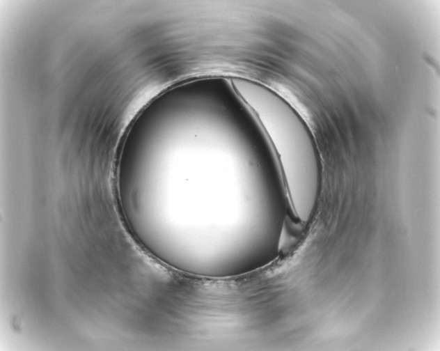 X0000093260901200710241331