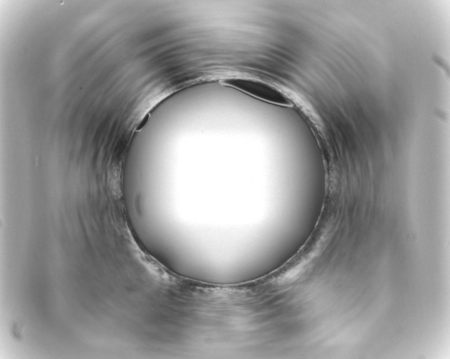 X0000093260905200710241331