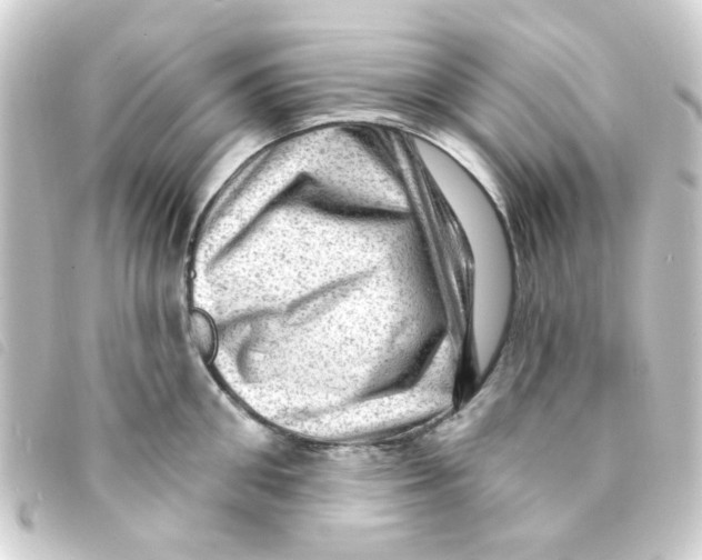 X0000093260906200710241331