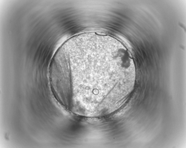X0000093260907200710241331