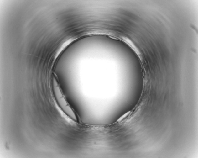 X0000093260909200710241331