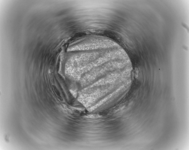 X0000093260915200710241330