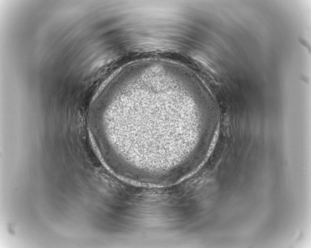 X0000093260917200710241330