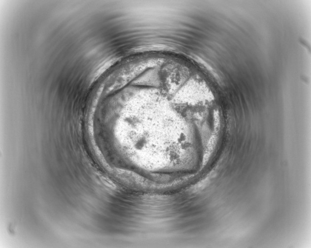 X0000093260921200710241330