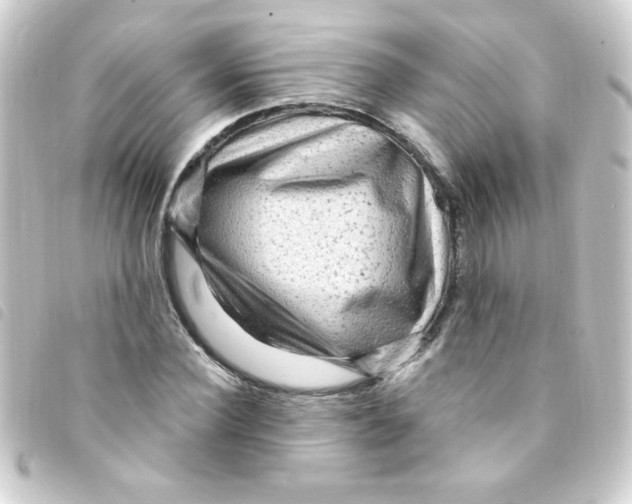 X0000093260924200710241330