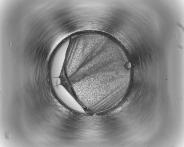 X0000093260926200710241330