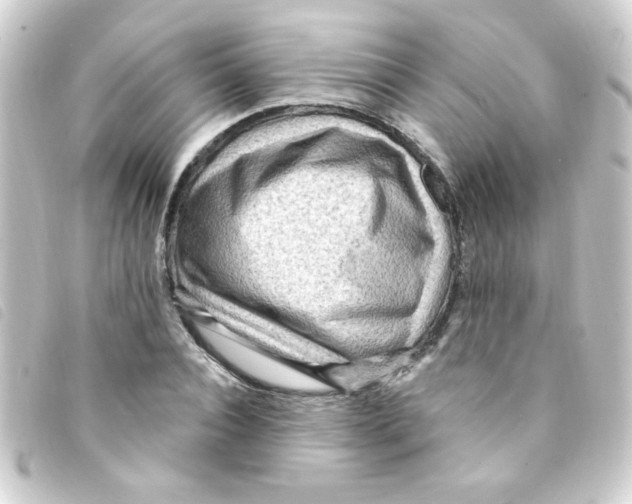 X0000093260928200710241330