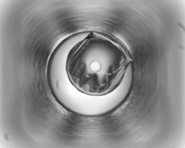 X0000093260932200710241330