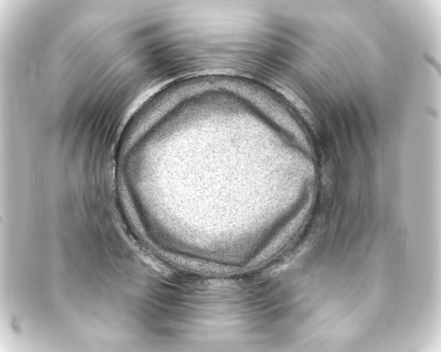 X0000093260933200710241330