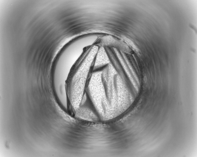 X0000093260934200710241330