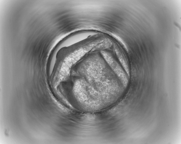 X0000093260935200710241330