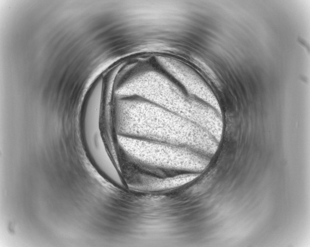 X0000093260939200710241330