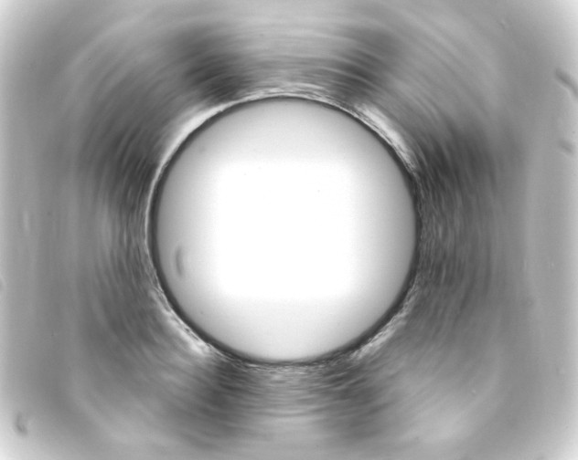 X0000093260940200710241330