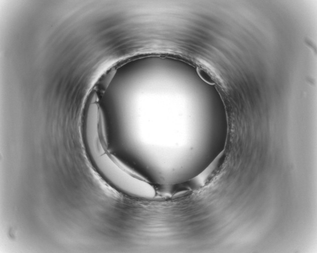 X0000093260942200710241330