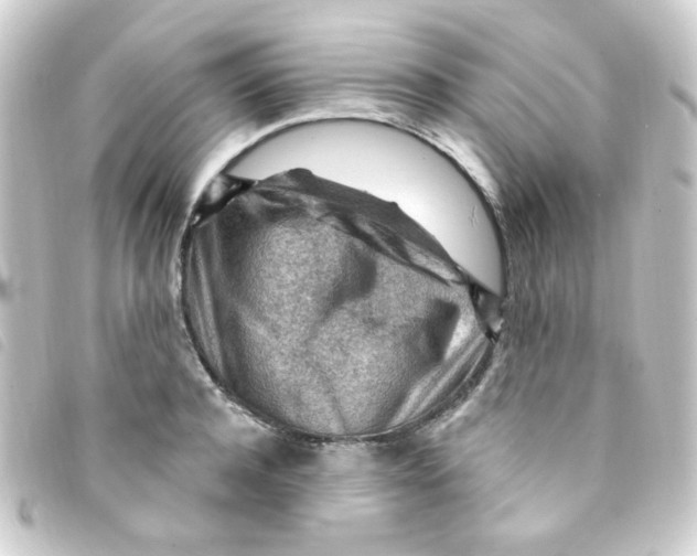 X0000093260944200710241330