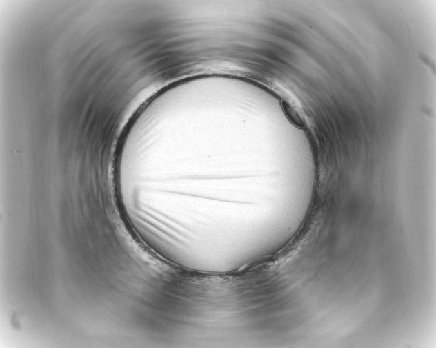 X0000093260947200710241330