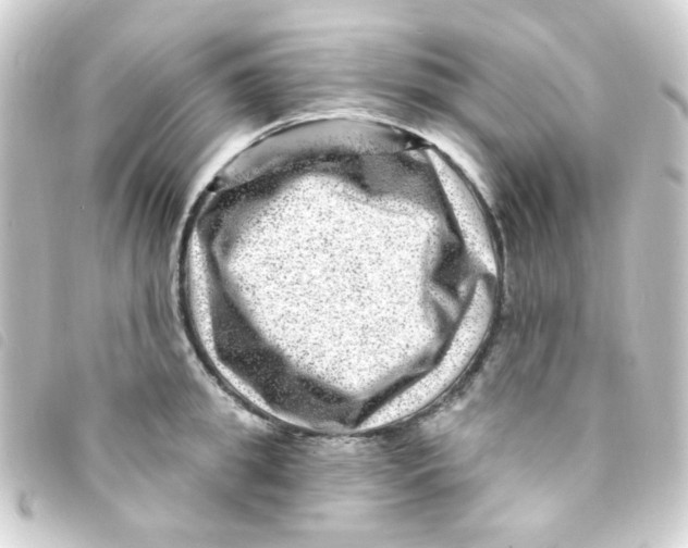 X0000093260949200710241330