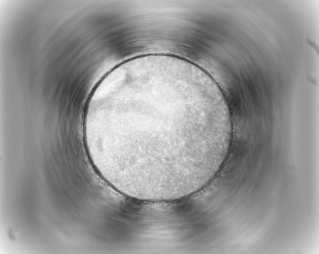 X0000093260950200710241330