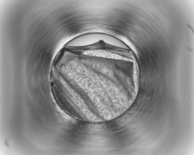 X0000093260951200710241330