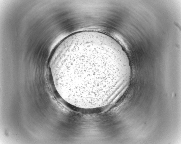 X0000093260952200710241330