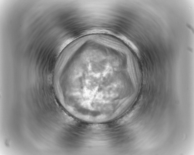 X0000093260953200710241330