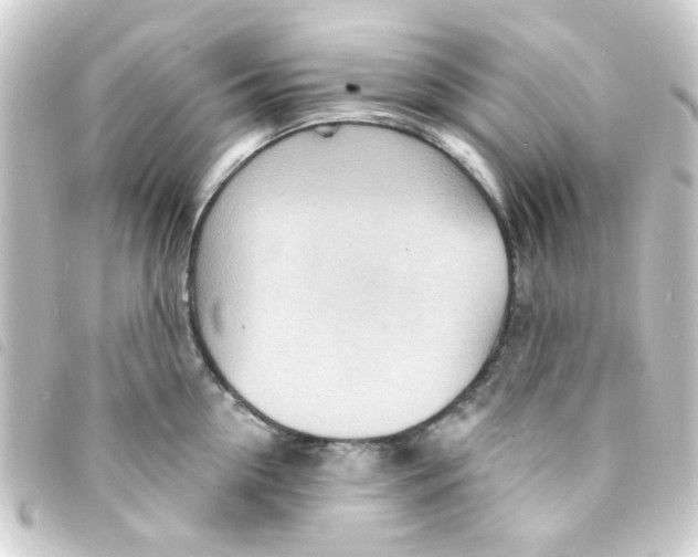 X0000093260954200710241330
