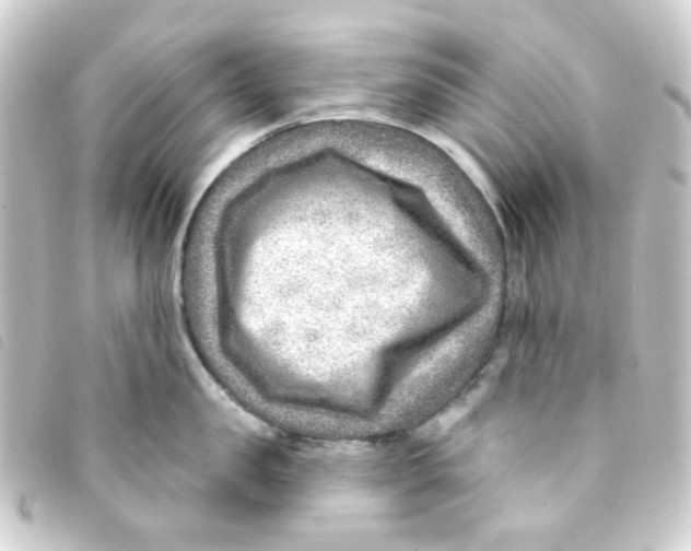 X0000093260957200710241330
