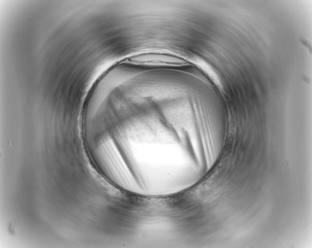 X0000093260958200710241330