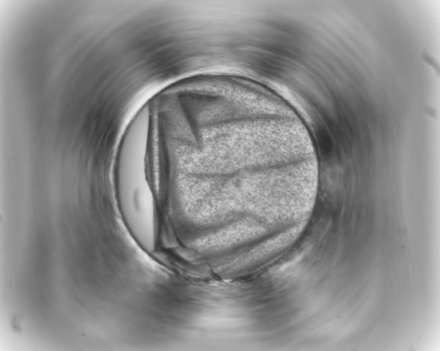 X0000093260959200710241331