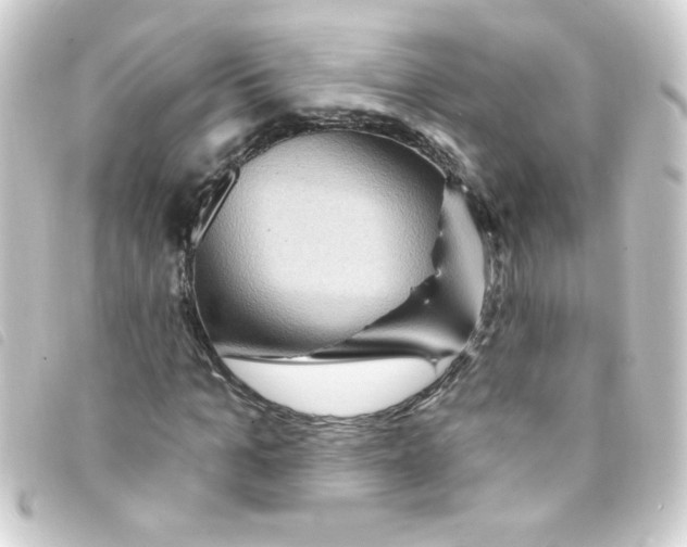 X0000093260965200710241330