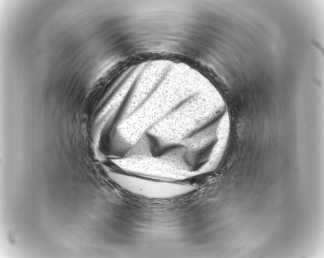 X0000093260968200710241330
