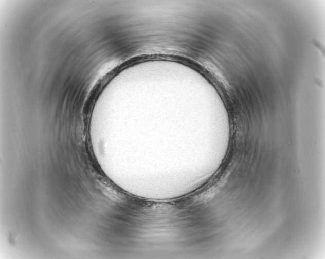 X0000093260974200710241330