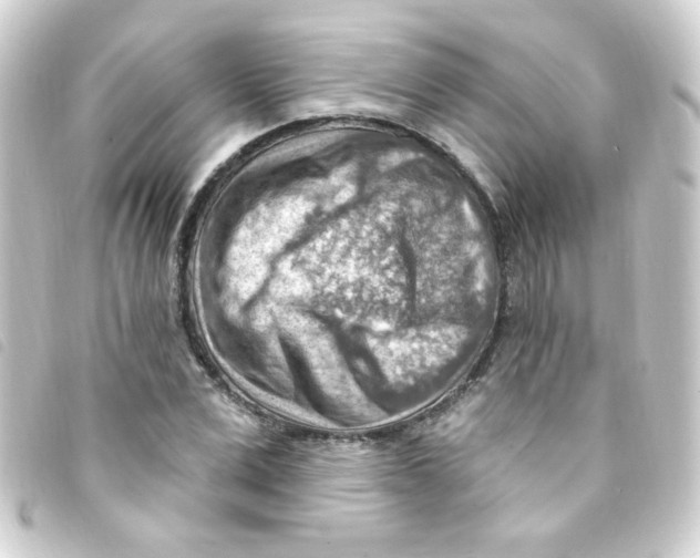X0000093260975200710241330