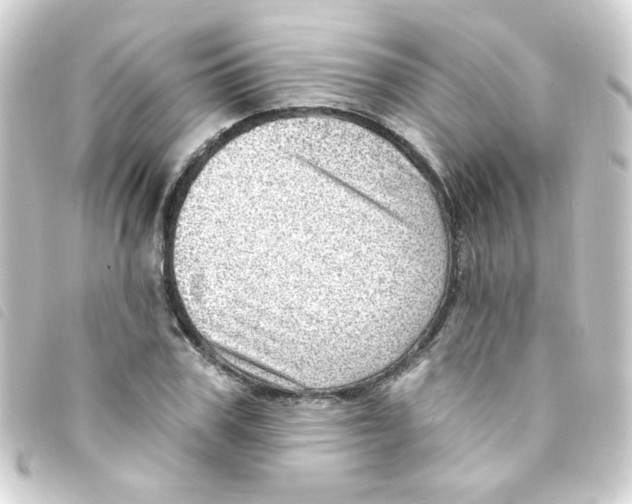 X0000093260979200710241330
