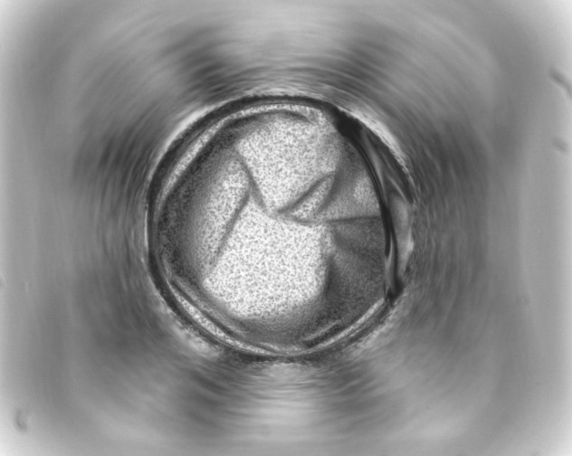 X0000093260984200710241330