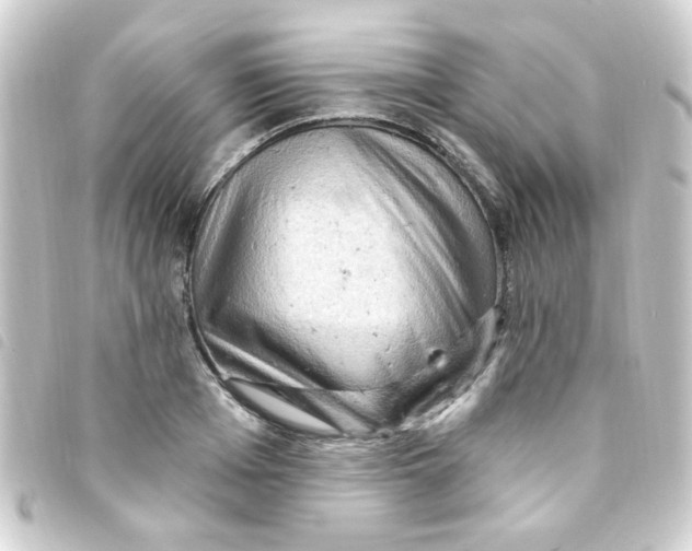 X0000093260985200710241330