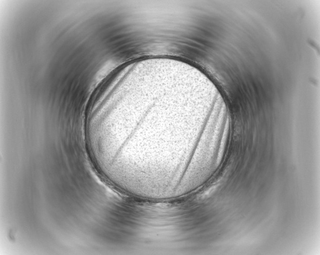 X0000093260986200710241330
