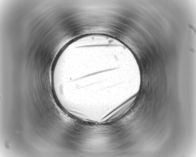 X0000093260988200710241330