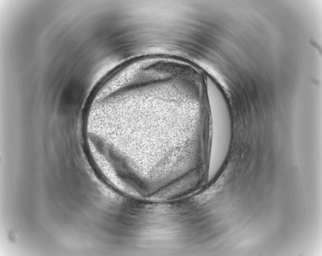 X0000093260991200710241330